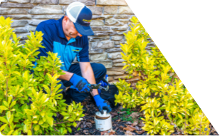 Z PLUMBERS worker kneeling between bushes checking pipe