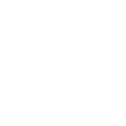 Money icon